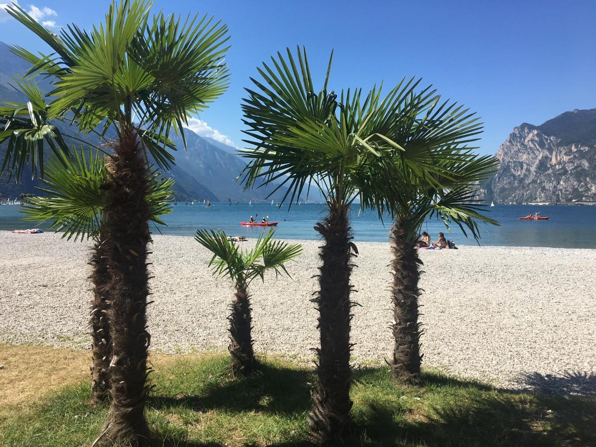 Outdooredo Garda Torbole Torbole Sul Garda Exteriör bild